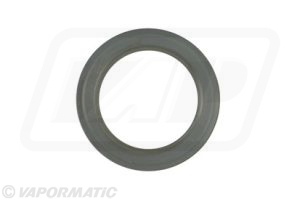Dichtring